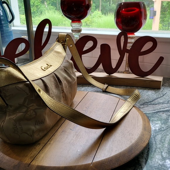 🏖️ Coach Caryall Horse Carriage Jacquard Mini Hobo Bag - Picture 16 of 16